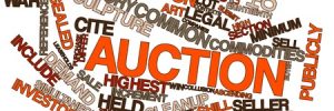 Auctioneer Terms You’ll Want to Know