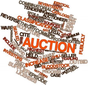 Auctioneer Terms You’ll Want to Know