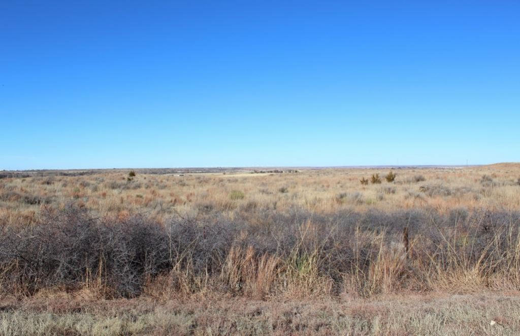 Land for Sale in Woodward Oklahoma