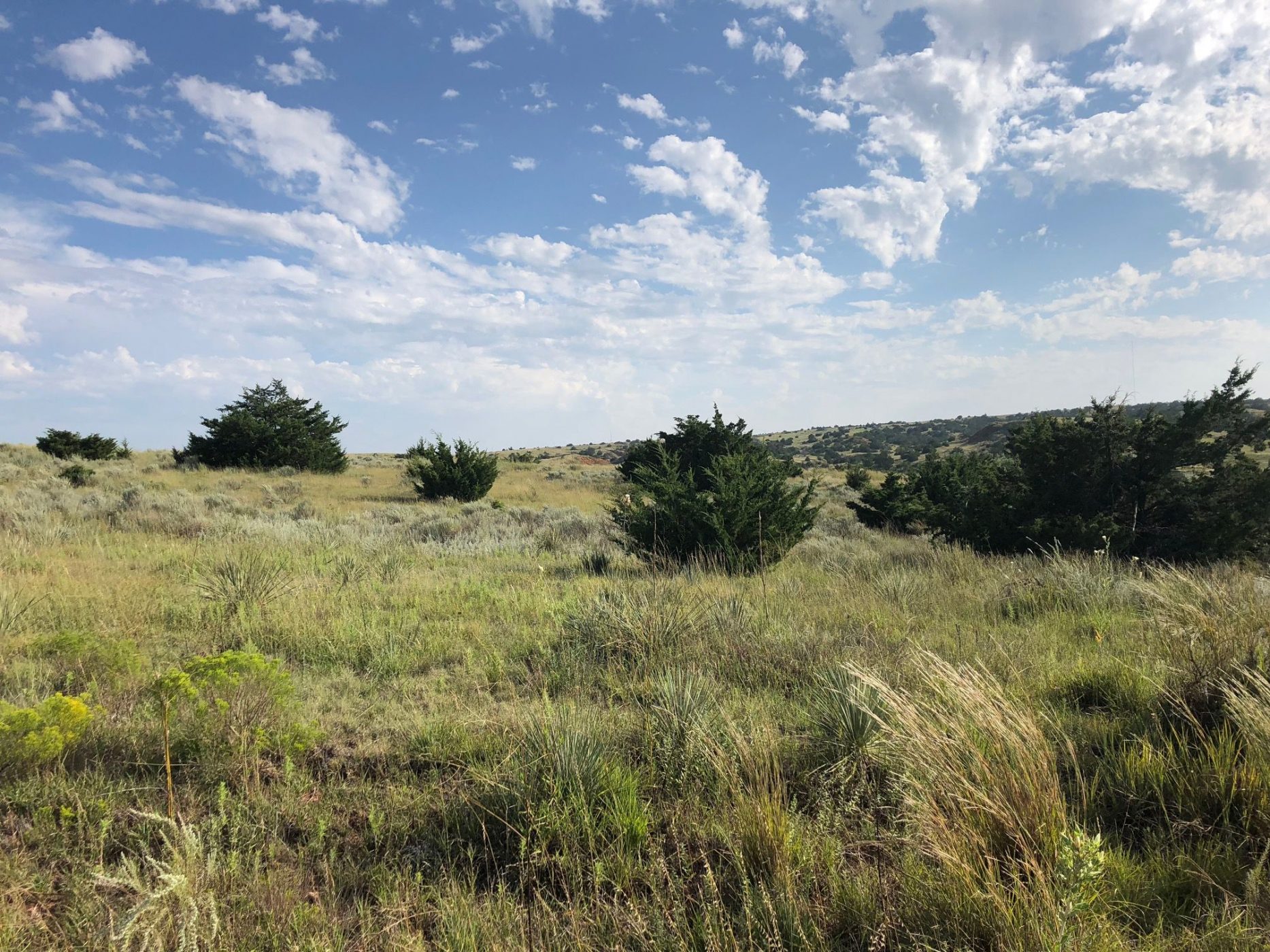 160 Acres of Harper County Land For Sale Smith & Co Auction and