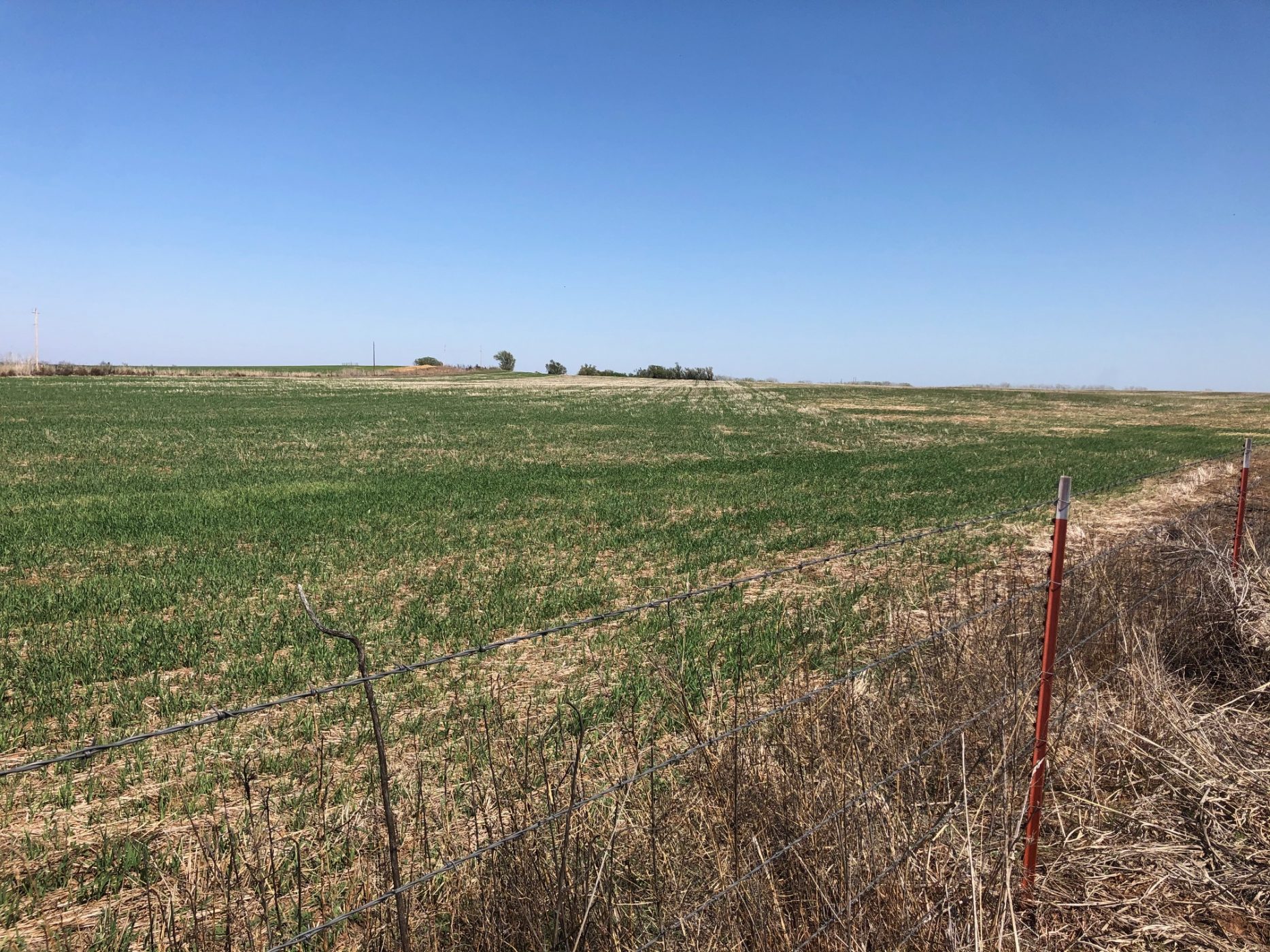 Cooper Land Auction Smith & Co Auction and Realty, Inc.