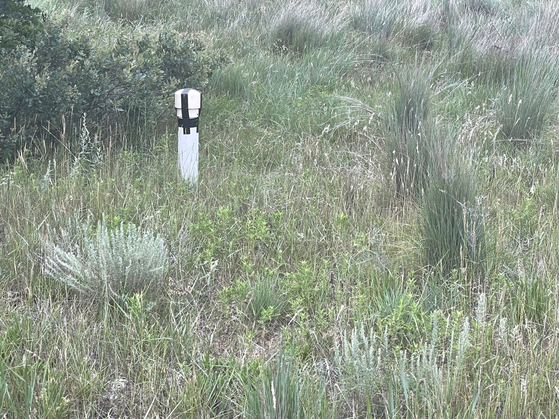 80 Acres of Woodward Co. Land FOR SALE! Smith & Co Auction and Realty