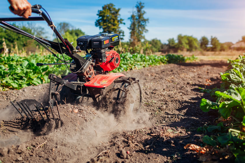 Farmer driving small used tractor he bought at auction for soil cultivation.