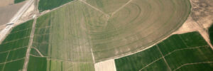 An aerial view of crop circle created in farm fields
